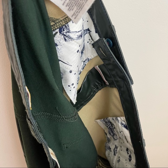 Anthropologie Pilcro and the Letterpress Green Vegan Leather Moto Pants - Picture 6 of 11